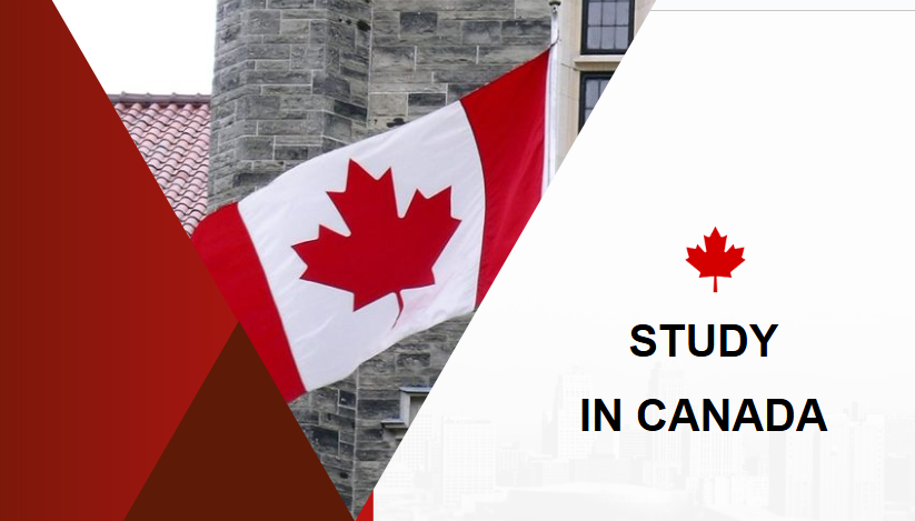 Vocational study in the US